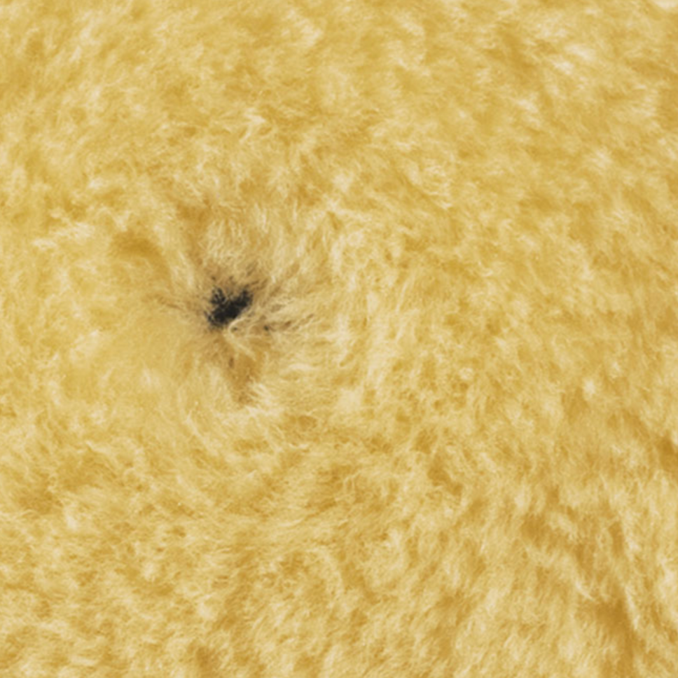 RUPES MEDIUM WOOL POLISHING PADS FOR RANDOM ORBITAL, GEAR DRIVEN, AND TRIPLE ACTION 5