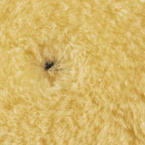 RUPES MEDIUM WOOL POLISHING PADS FOR RANDOM ORBITAL, GEAR DRIVEN, AND TRIPLE ACTION 5